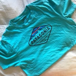 patagonia tee-shirt